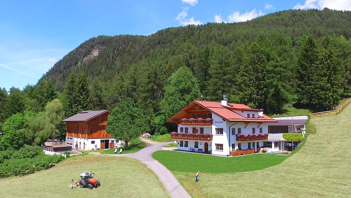 Felderhof - Photo gallery Photo
