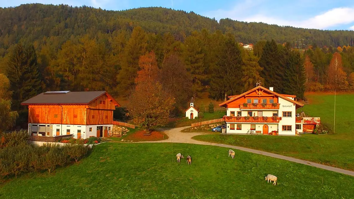 Felderhof - Photo gallery Photo