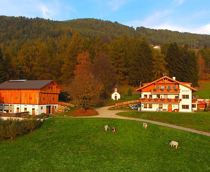 Felderhof - Photo gallery Photo
