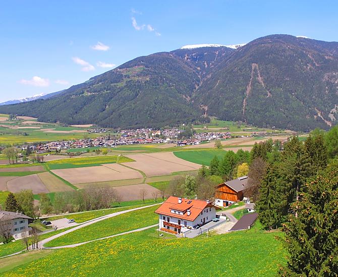 Felderhof - Photo gallery Photo