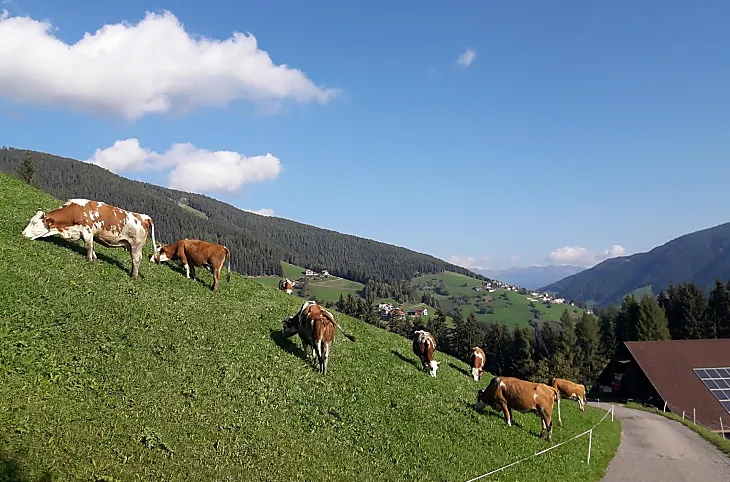 Col de Tlames - Photo gallery Photo
