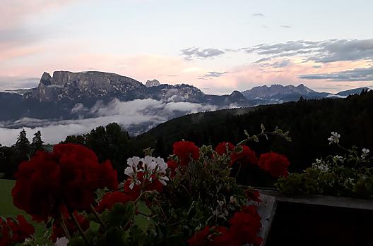 Die Balkonblumen blühen noch