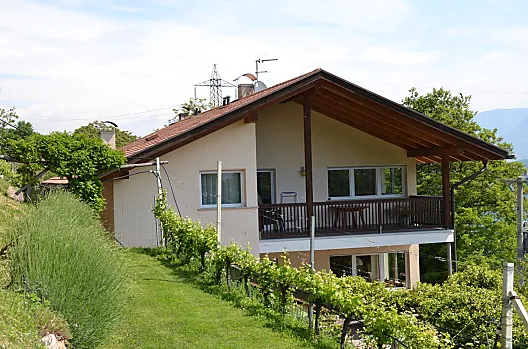 Kräuterecke vor dem Haus