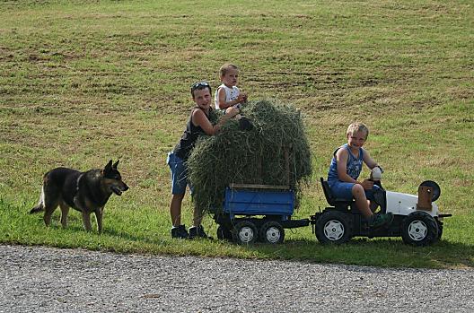 Unsere Kinder bei der Heuarbeit