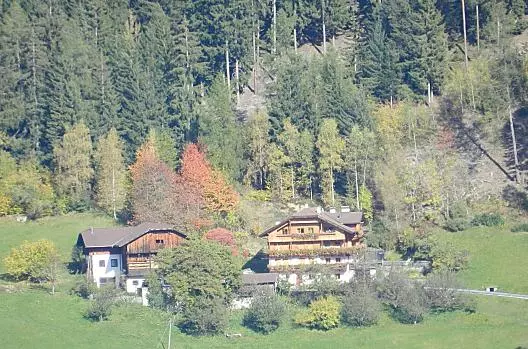Gedrarz - list Photo
