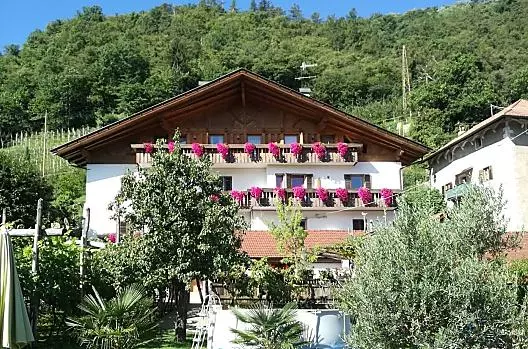 Sommer am Schrenteweinhof