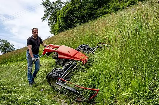 Die steilen Wiesen werden mit der Mähmaschine und teils mit der Sense gemäht, im Frühjahr und im Herbst dürfen die Jungrinder auf die Weide.
