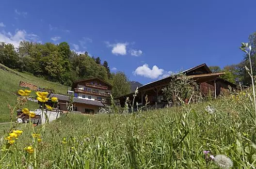 Unser Hof im Sommer