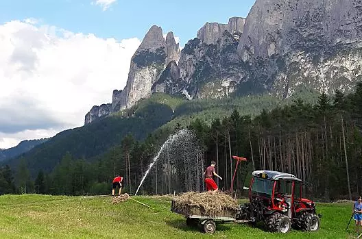 Heuarbeit