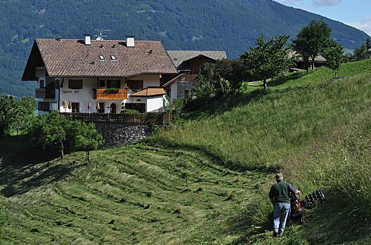 Figisterhof - list Photo