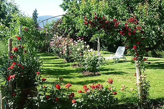 Der Rosengarten in seiner Blütenpracht