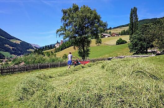Making hay