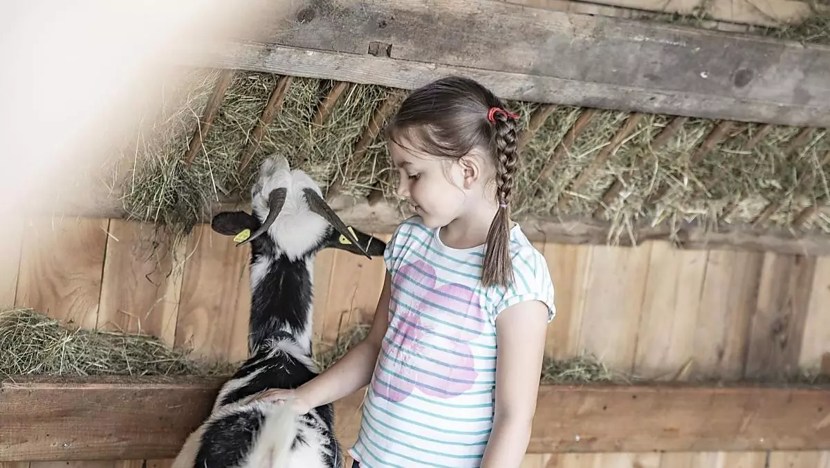 The animals love being fed and petted by the children.