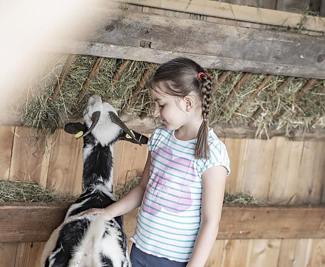 The animals love being fed and petted by the children.