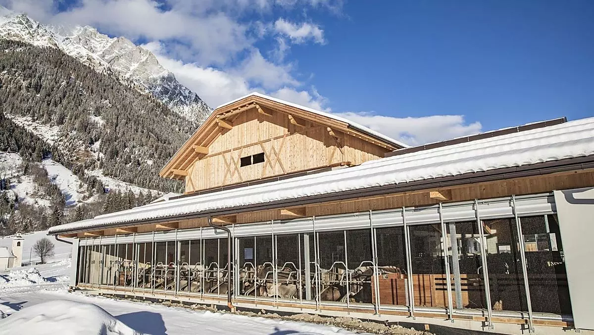 Our new stable in winter. It was built in the summer of 2020.