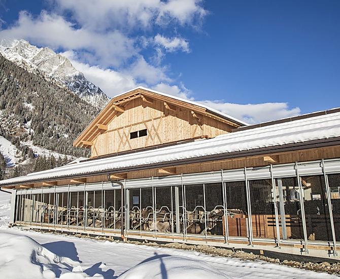 Our new stable in winter. It was built in the summer of 2020.