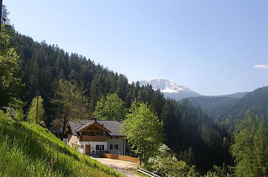 Thalerhof - list Photo
