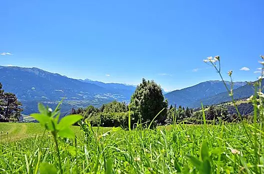 Steinerhof - List Photo