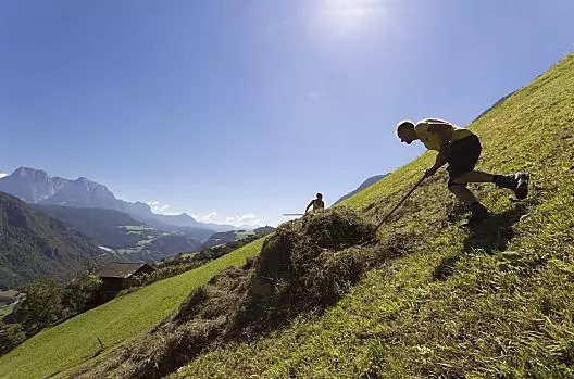 Heuernte im Steilhang