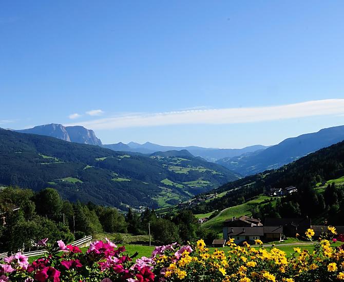 Steierhof - Photo gallery Photo