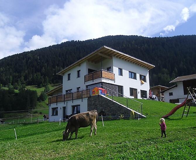 Im Herbst weiden unsere Kühen direkt neben dem Vernunghof