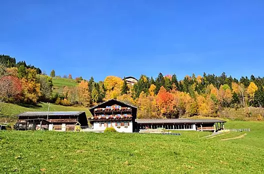 Wegscheiderhof - list Photo