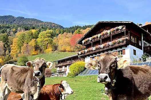 Wegscheiderhof - list Photo