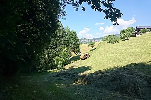 Bei der Heuarbeit