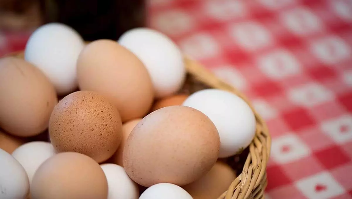 Fresh eggs from our free range chickens