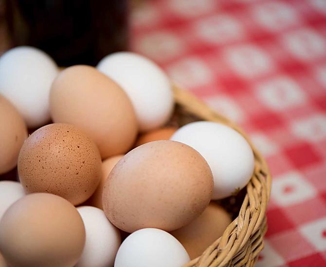 Fresh eggs from our free range chickens