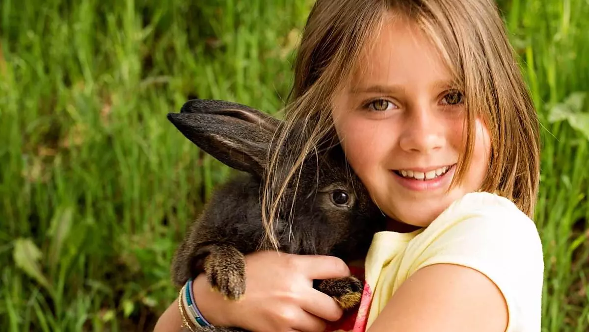 Our bunny rabbit Leo