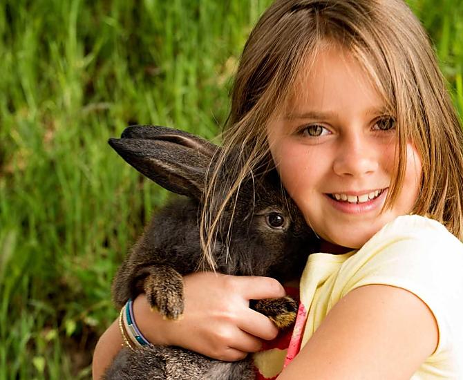Our bunny rabbit Leo