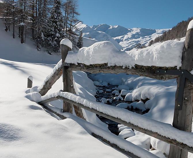 Hof am Schloss - Photo gallery Photo