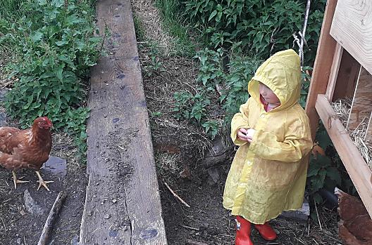 Anna Lena with the chickens