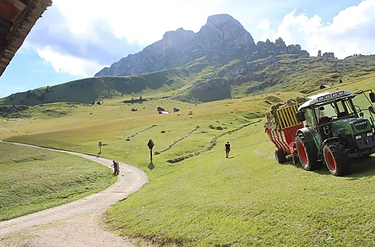 Heuarbeit auf unserer Alm unterm Peitlerkofel