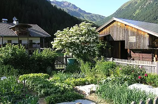 Unser Bauerngarten im Sommer.