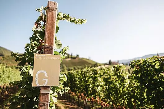Kurz vor der Ernte