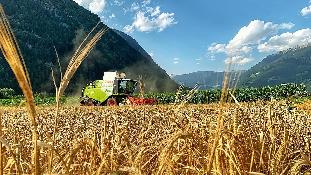 Harvester