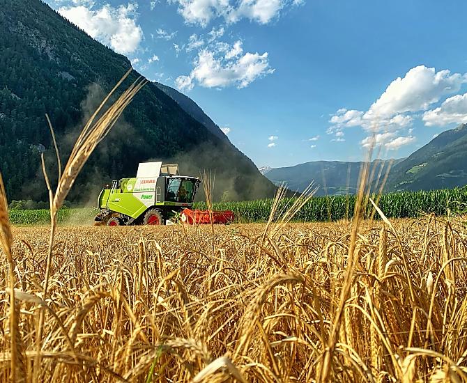 Harvester
