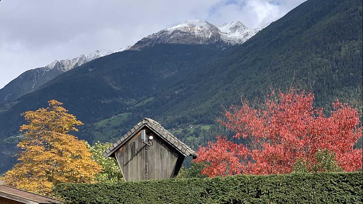 Autumn trees at the Winklerhof