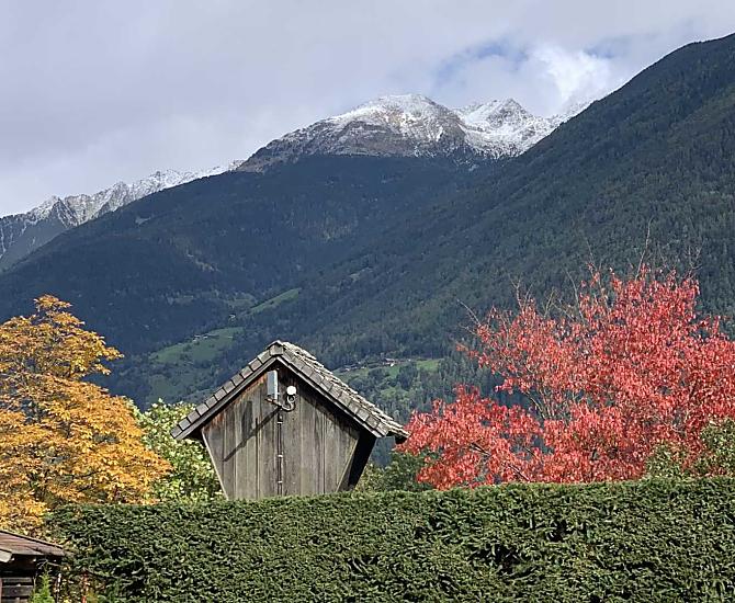 Autumn trees at the Winklerhof