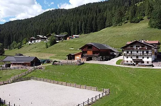 Unser Hof mit Kuh- und Pferdestall