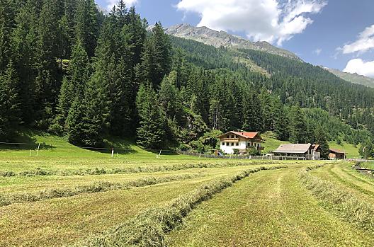 Feldarbeit im Sommer