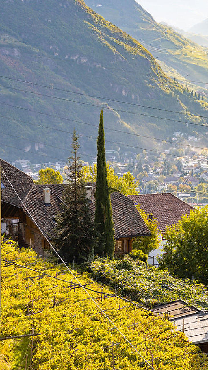 Die Kochschule am Bauernhof in Südtirol
