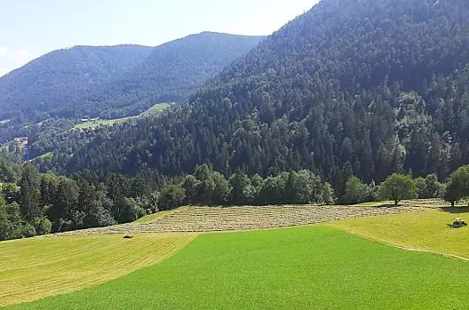 Heuernte