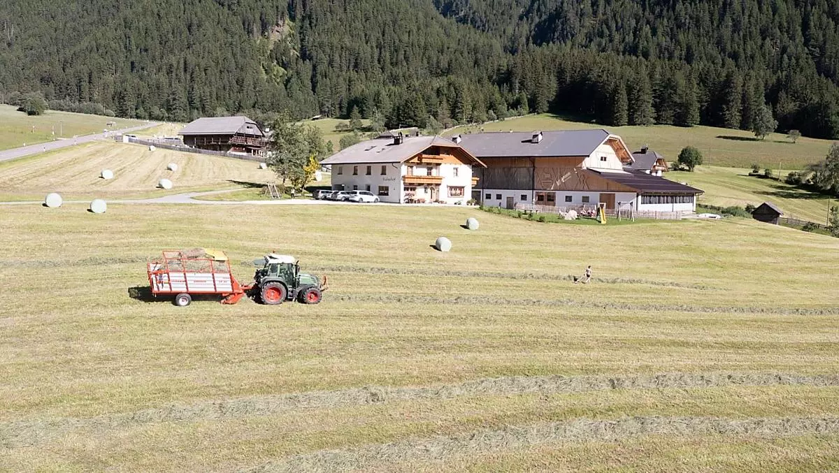 In summer the hay is harvested