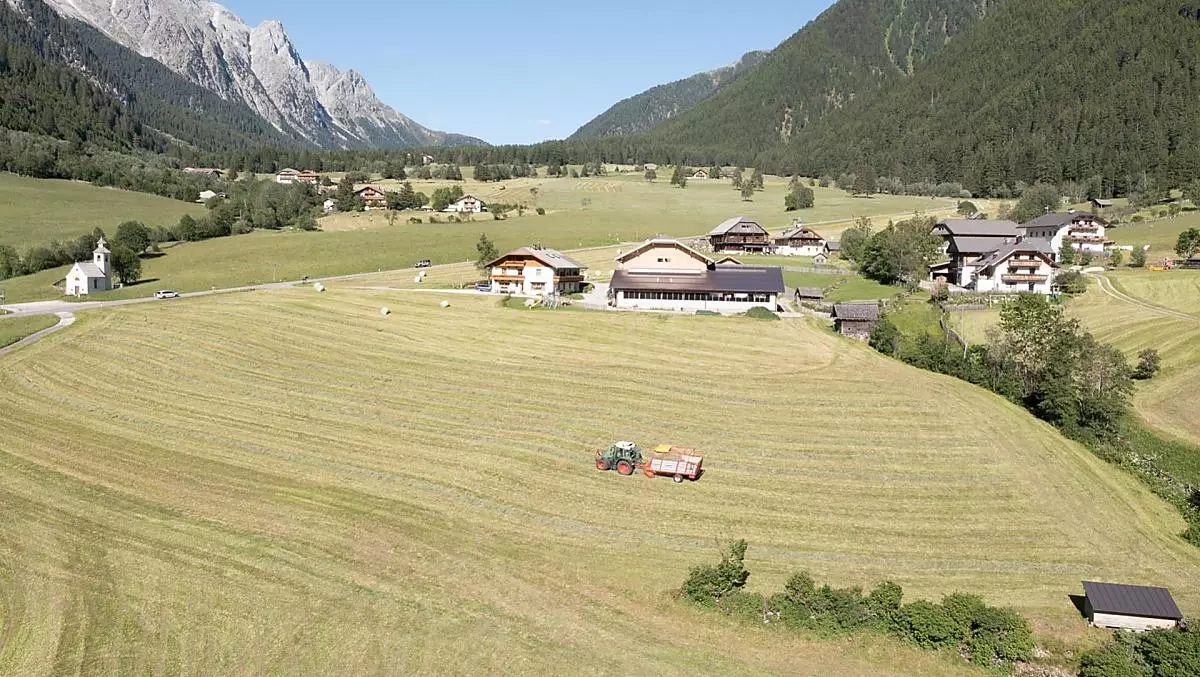 We are happy to show our guests around the farm
