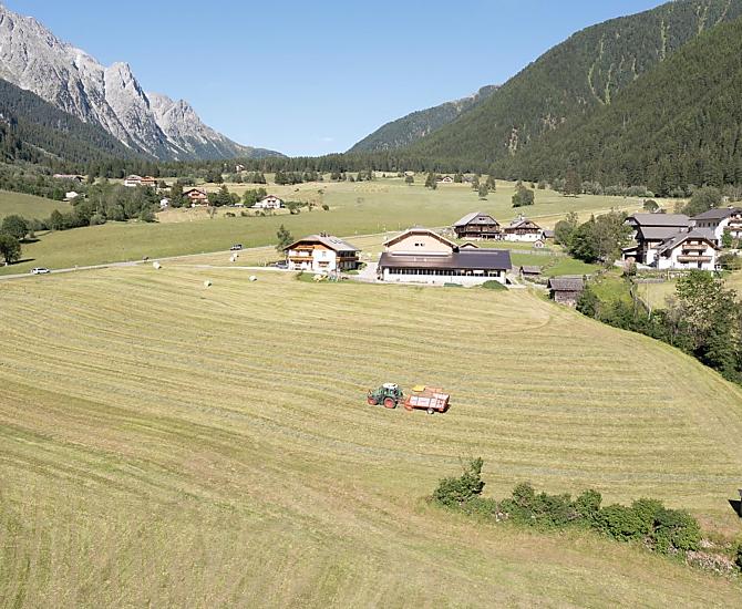We are happy to show our guests around the farm