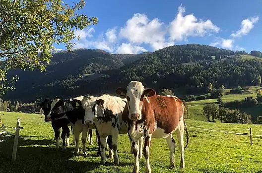 Leimgruberhof - list Photo
