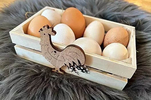 Unsere hofeigenen Eier von glücklichen Hühnern